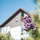 Schmerztherapiezentrum  Bad Mergentheim GmbH, Bad Mergentheim - 3